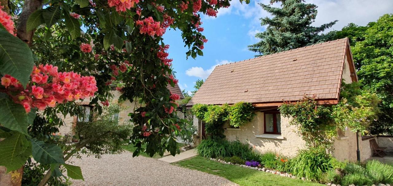 Ferienwohnung Domaine Des Medards Beaulieu-sur-Loire Exterior foto